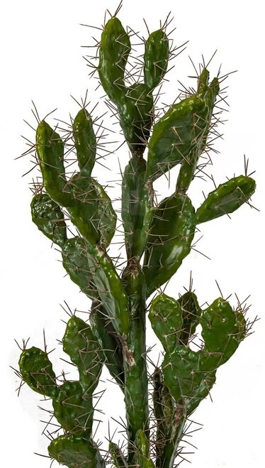 Prickly Pear Cactus With Needles - 42 Inches Or 52 Inches Tall - Image 4