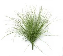 26 Inch Light Green Pvc Wild Onion Grass Bush