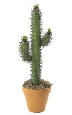 28 Inches Plastic Saguaro Cactus - Green - Bare Stem
