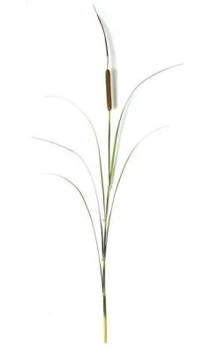 5 Feet PVC Cattail/Grass Stem - 1 Brown Cattail