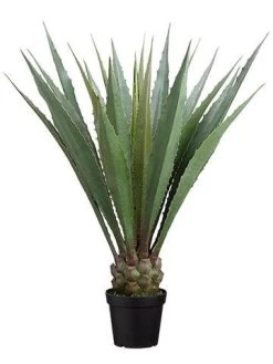 48- Inch-Agave Americana In Pot Green Indoor/Outdoor