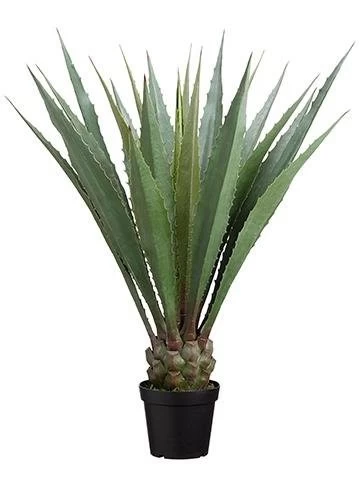 48- Inch-Agave Americana In Pot Green Indoor/Outdoor