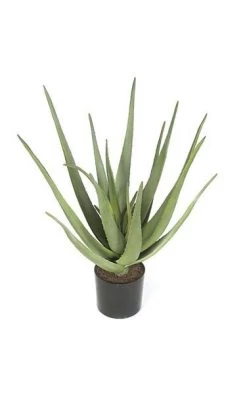 22 Inches Plastic Aloe Plant - 20 Green Leaves - 19 Inches Width - Weighted Base - FIRE RETARDANT