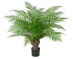 30 INCH Outdoor IFR ALSOPHILA FERN TREE