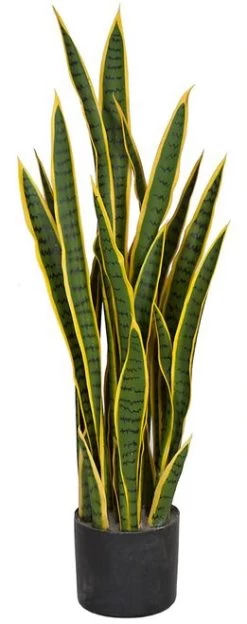 39 Inch Green Sansevieria Plant - Green/Yellow