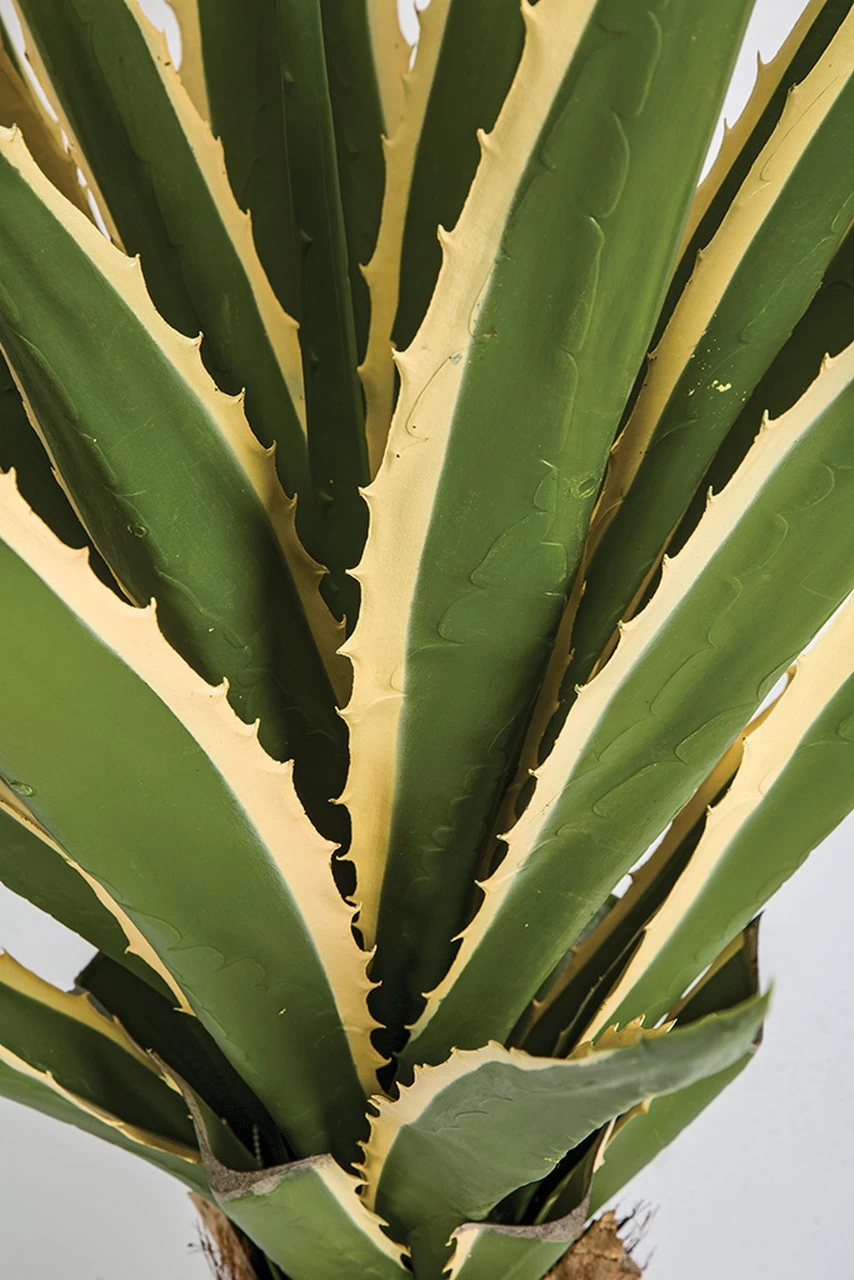 37 Inch Outdoor Uv Yucca Plant - Image 2