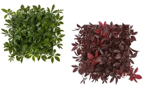 10 Inch X 10 Inch X 4 Inch Outdoor Uv Schefflera Wall Mat In Green Or Burgundy - Image 2