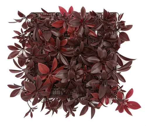 10 Inch X 10 Inch X 4 Inch Outdoor Uv Schefflera Wall Mat In Green Or Burgundy - Image 4