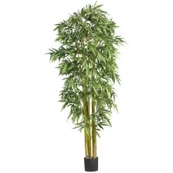 7 Feet Thick/Thin Natural Style Bamboo Tree