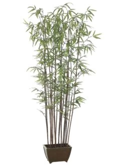 72 Inches Bamboo Wall Tree