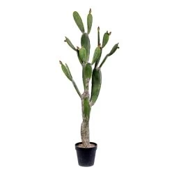 57 Inches Green Potted Cactus Natural Touch