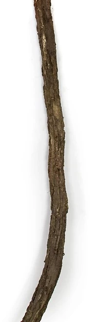 10 FOOT X 3 INCH IFR SYNTHETIC JUNGLE VINE