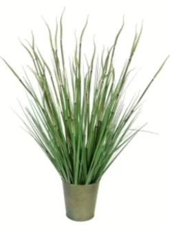 28 Inches Green Reed Grass In Iron Pot