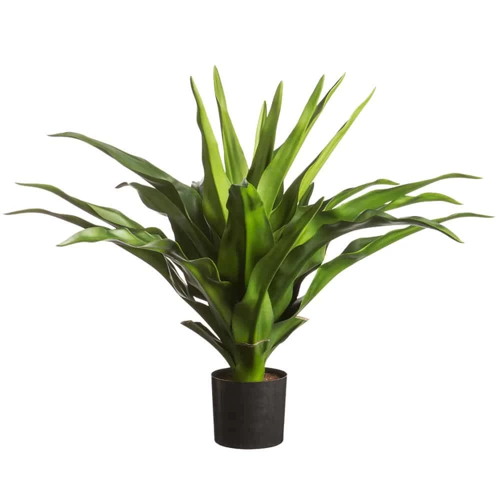 31" Agave Plant In Pot Green