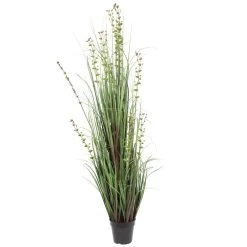 60 Inches Eucalyptus Outdoor Grass Potted