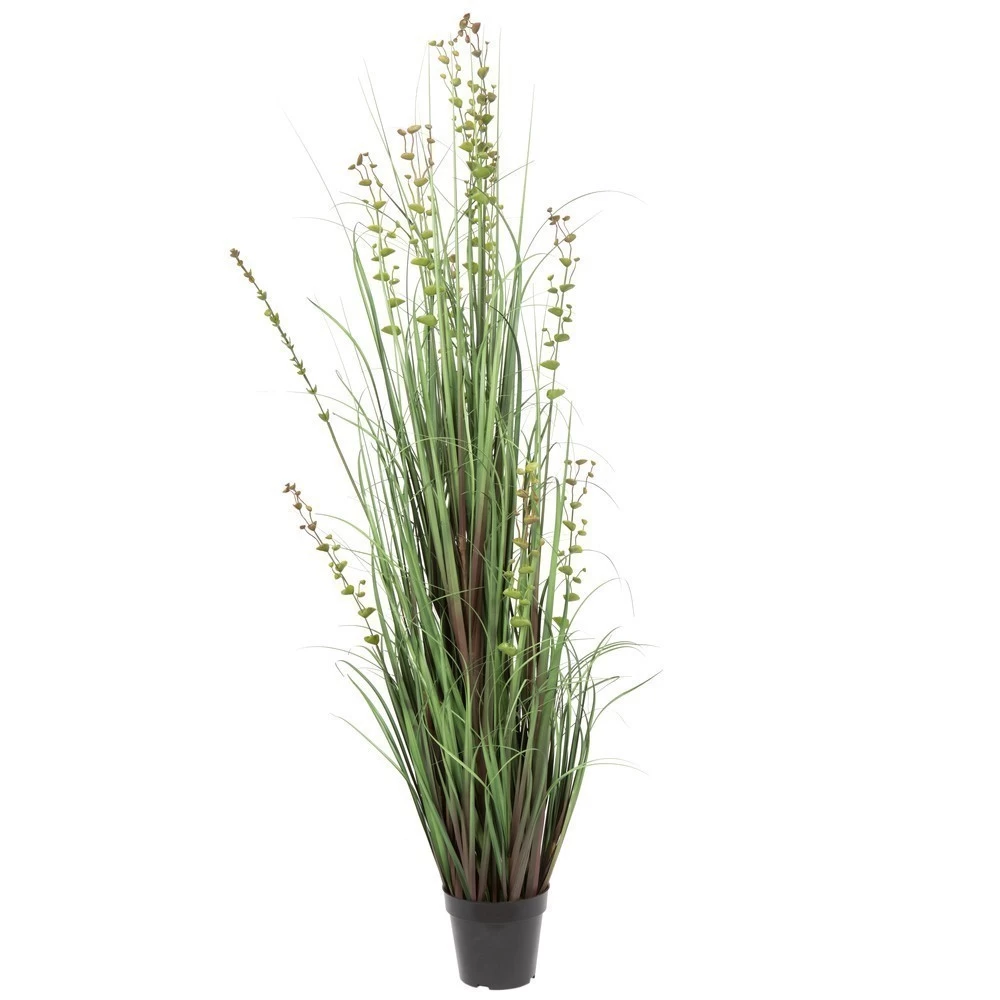 60 Inches Eucalyptus Outdoor Grass Potted