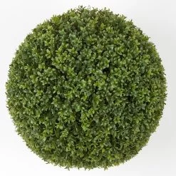 Earthflora's 20 Inch Outdoor Boxwood Ball - New Leaf Style