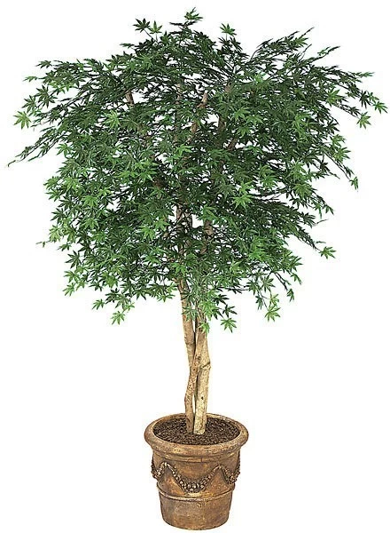 Earthflora's 6 Foot Polyblend Japanese Maple Tree - Green Or Rust