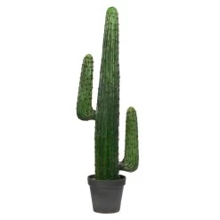 49 Inches Cactus In Black Pot