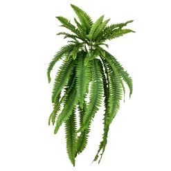 23 Inches Green Boston Fern Bush 27 Leaves