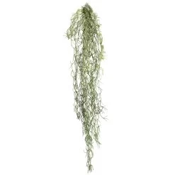 29.5 Inches Tillandsia Root Moss