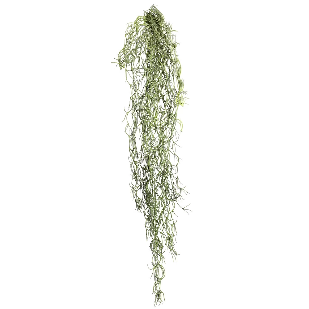 29.5 Inches Tillandsia Root Moss