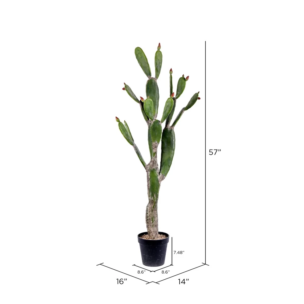 57" Green Potted Cactus - Image 3