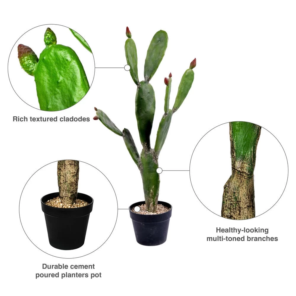57" Green Potted Cactus - Image 4