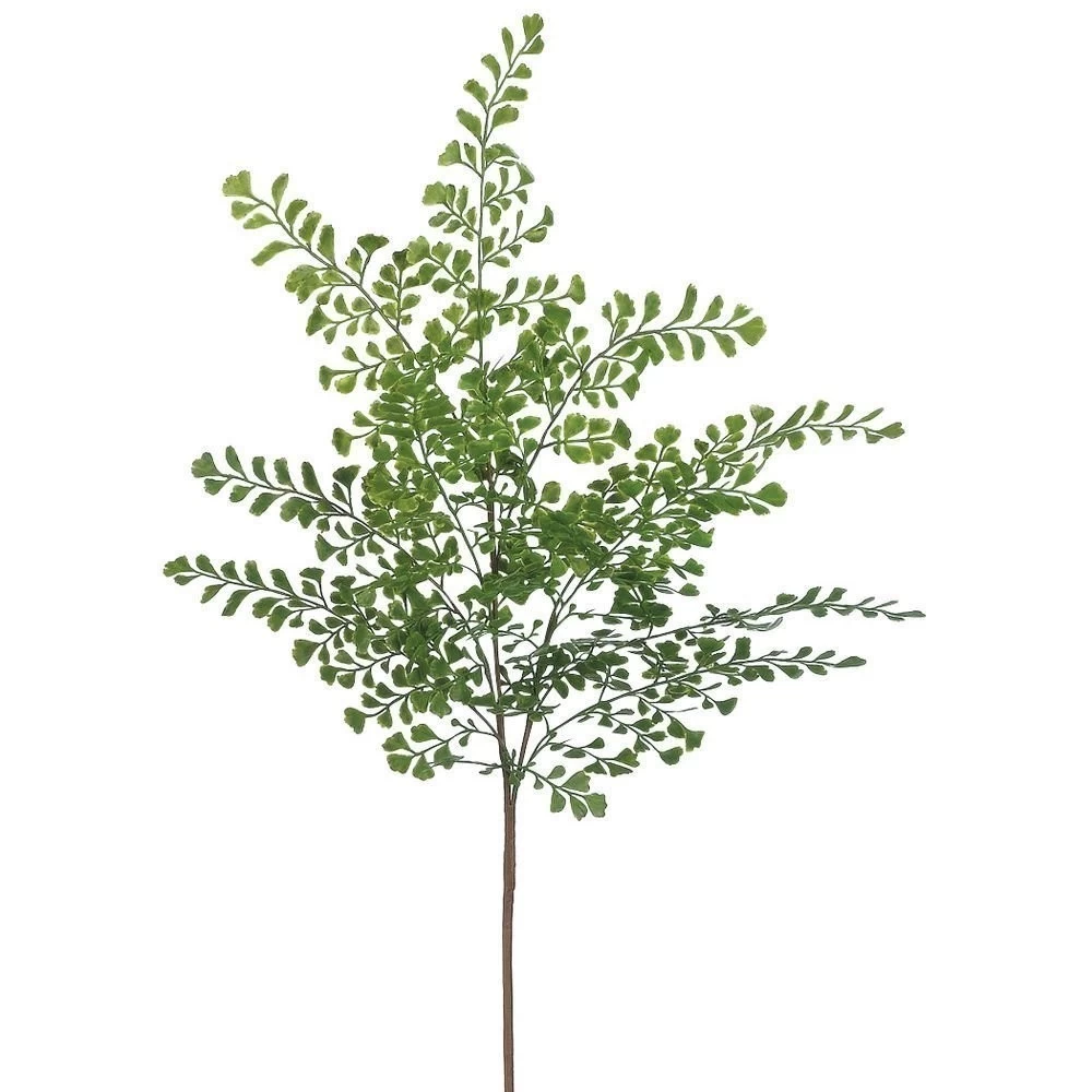 20 Inches Maidenhair Fern Spray Green