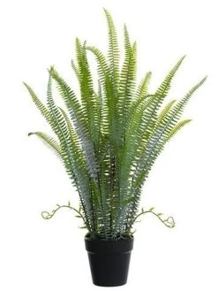 30″ Outdoor Sword Fern Plant In Plastic Pot Green