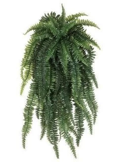 52 Inches Weeping Boston Fern Hanging Bush Light Green