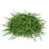12 Inches Mixed Greenery Half Ball