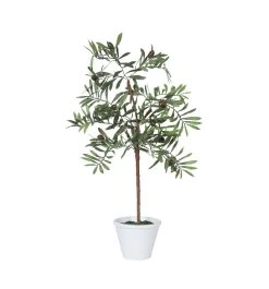 27" Olive Hill Tree W/ Container