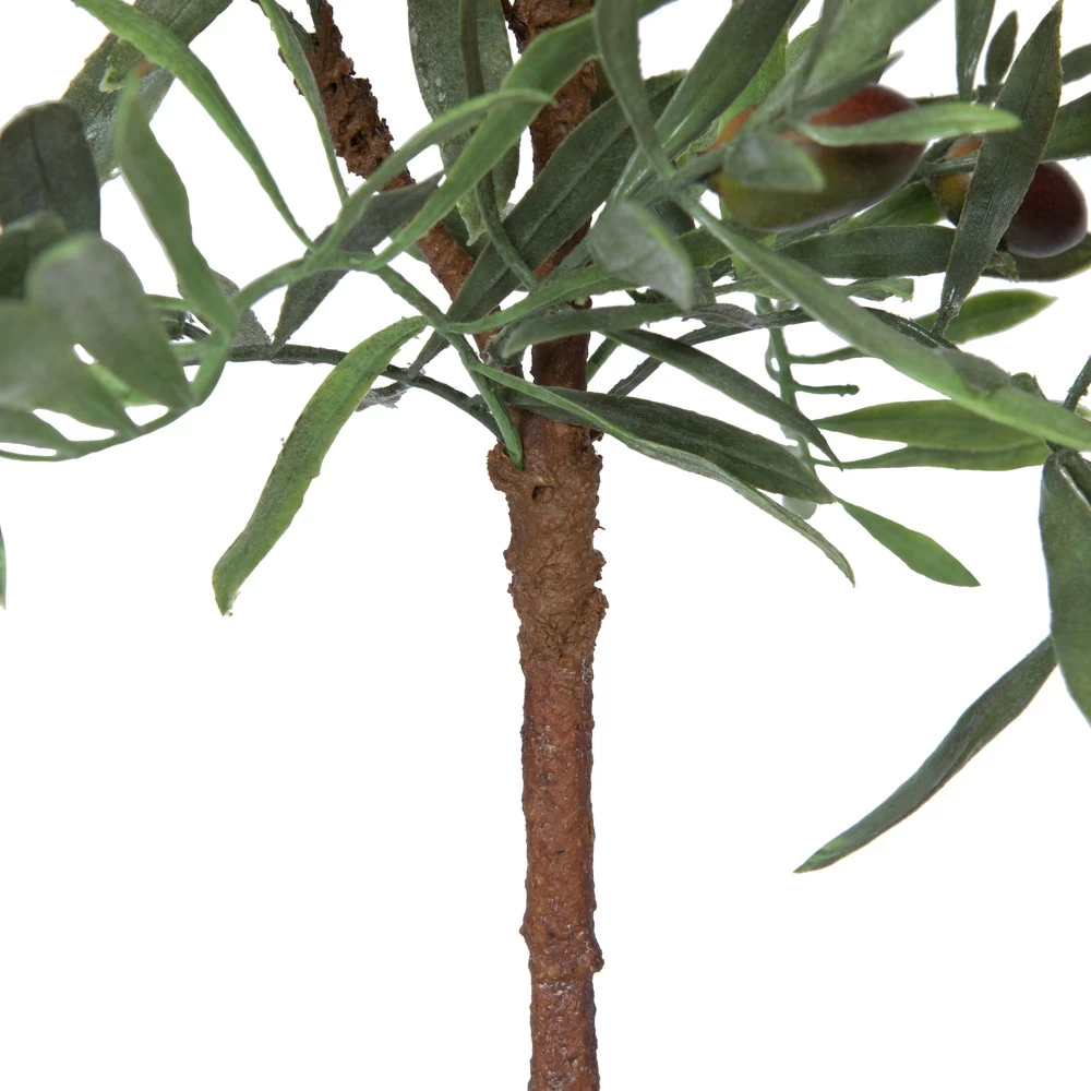 27" Olive Hill Tree W/ Container - Image 3
