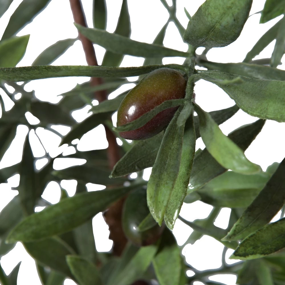 27" Olive Hill Tree W/ Container - Image 6