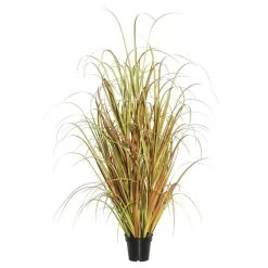 48 Inches Mixed Brown Grass In Pot