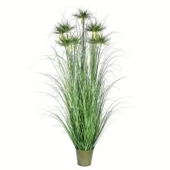 60 Inches Green Outdoor Cyperus Grass In Iron Pot