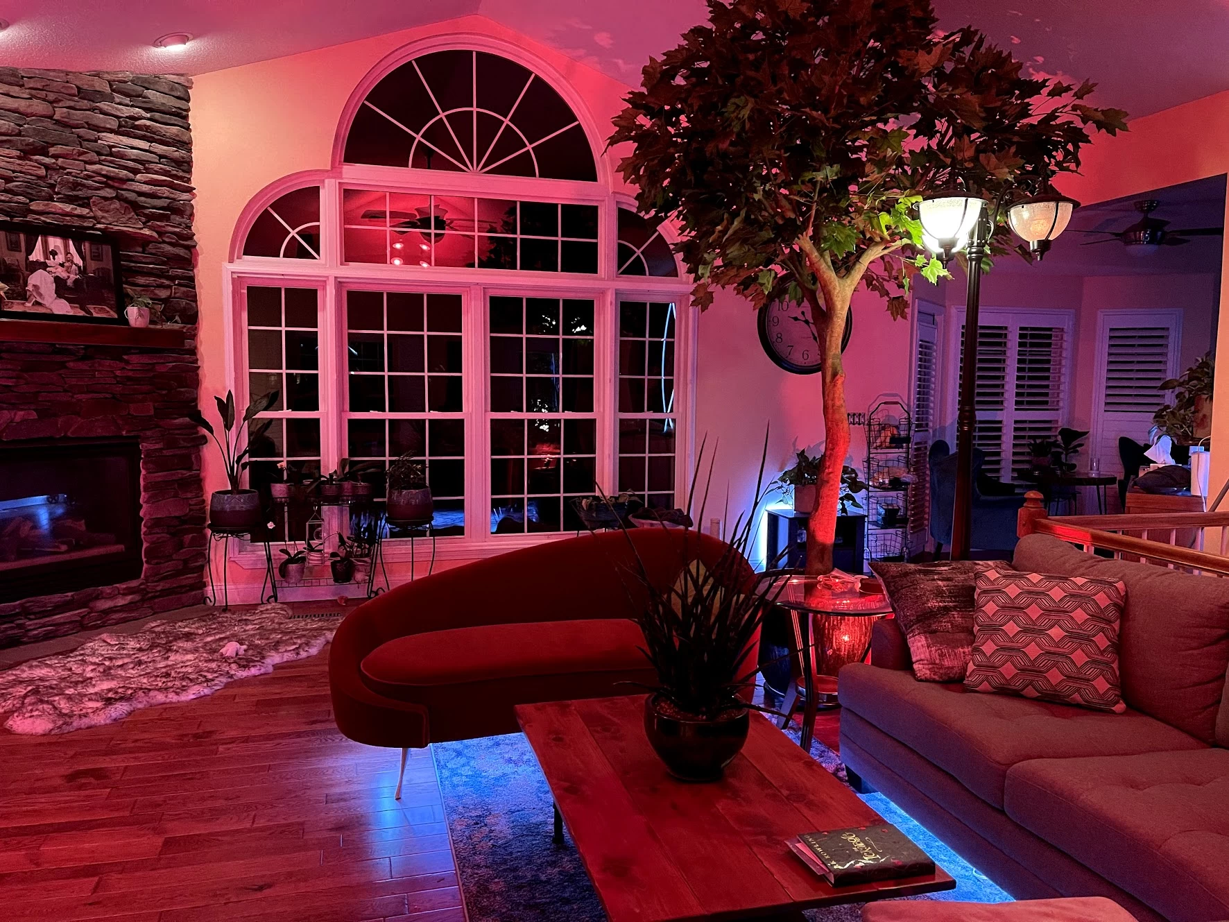 10.5 Foot Large Sugar Maple Tree In Orange Or Green Colors - Image 6