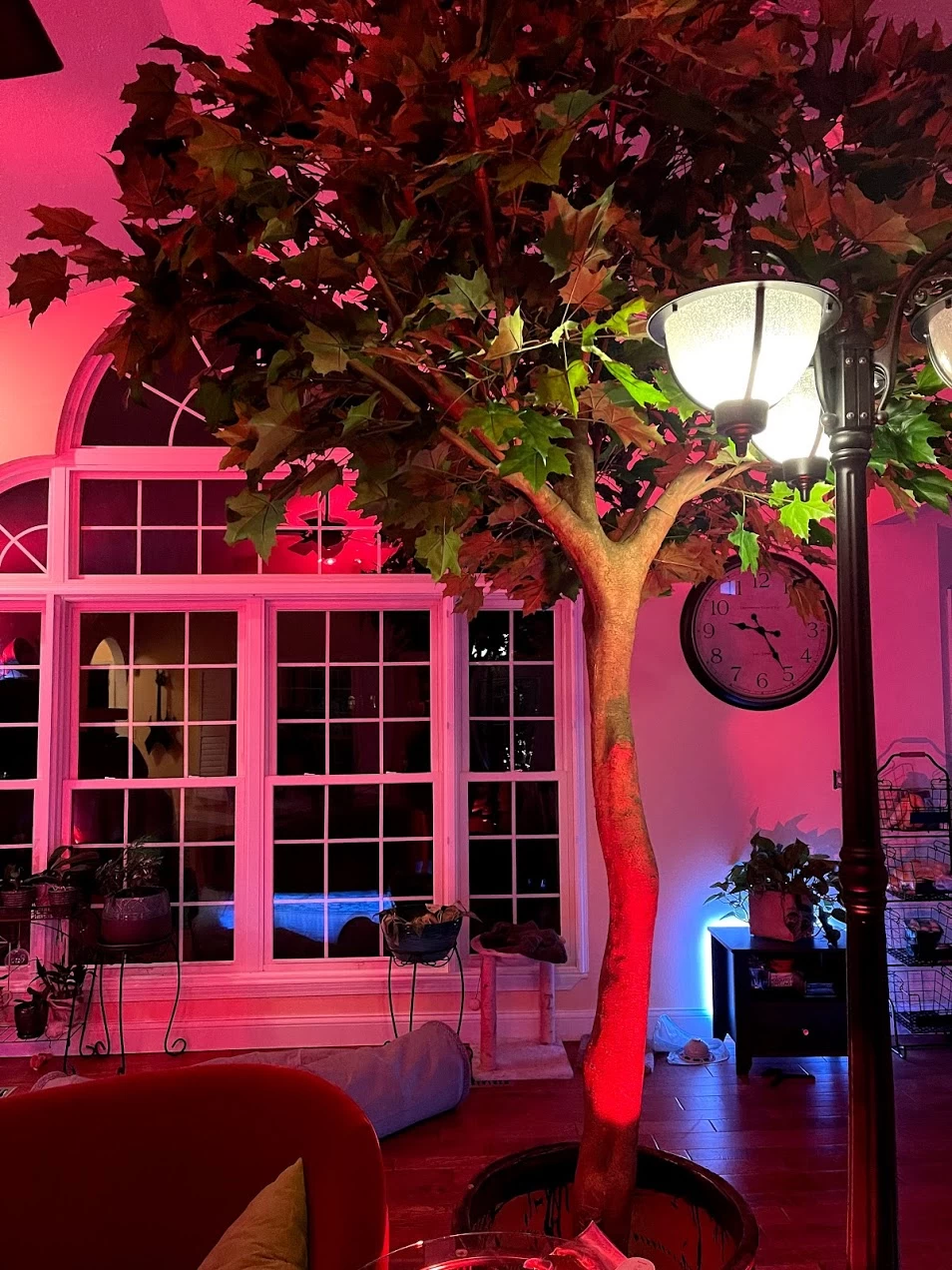 10.5 Foot Large Sugar Maple Tree In Orange Or Green Colors - Image 8