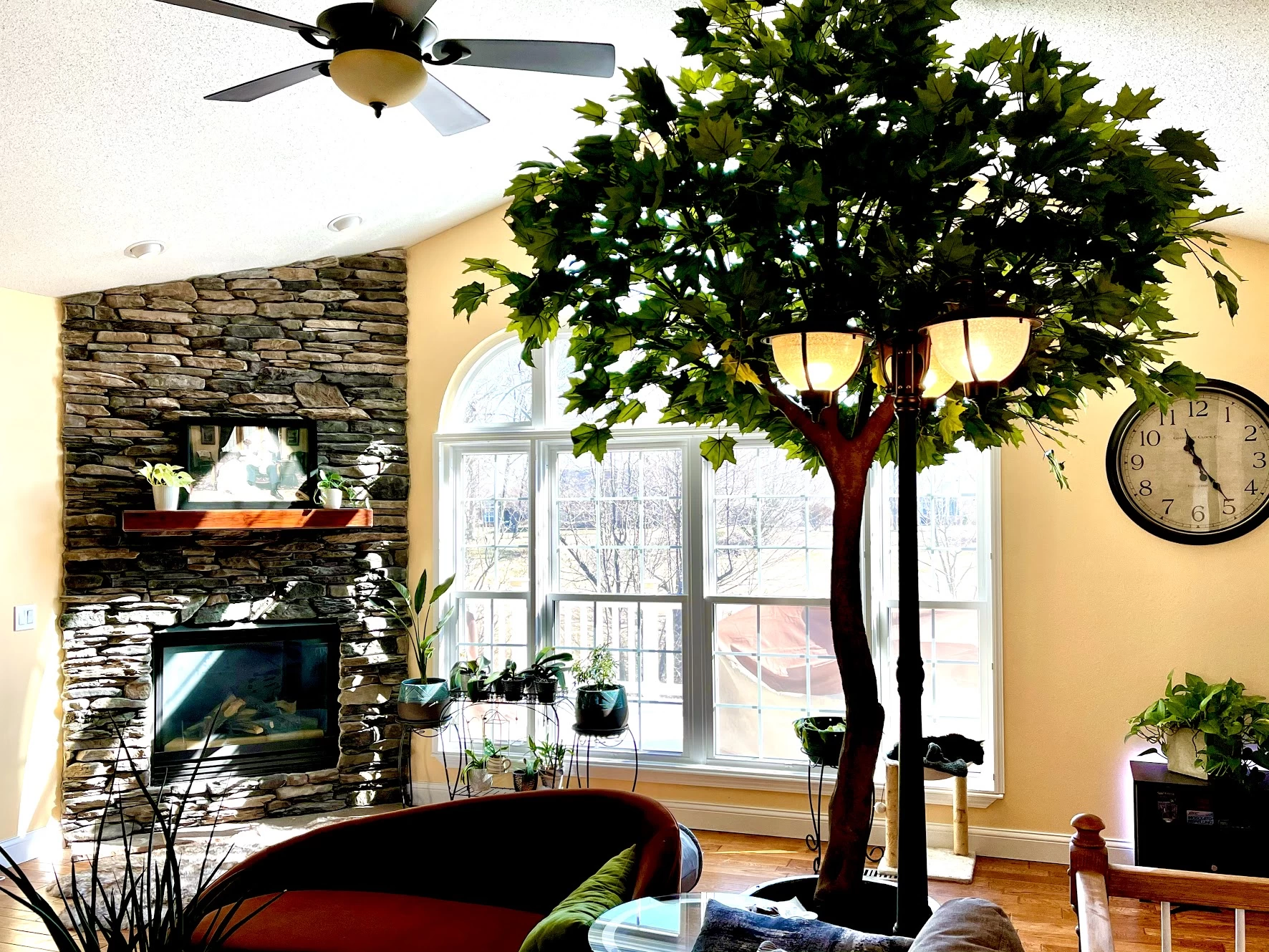 10.5 Foot Large Sugar Maple Tree In Orange Or Green Colors - Image 7