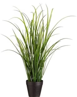 24 Inches UV Outdoor Protected Tall Grass In Pot Green****price Is For 4 Whole Pcs****