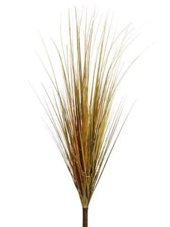 40 Inches Onion Grass Bush Green Rust Brown
