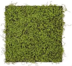 19.5 Inch X 19.5 Inch Mini Leaf Mat On Foam Back