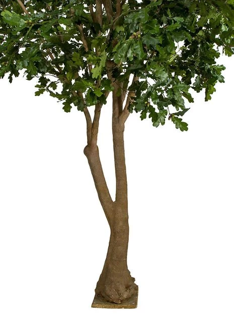 12 FOOT H X 11 FOOT W OAK TREE ON FIBERGLASS TRUNK AND BASE - Image 2