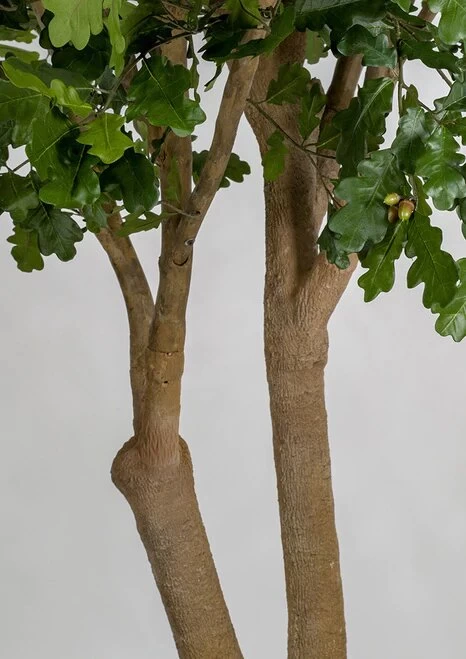 12 FOOT H X 11 FOOT W OAK TREE ON FIBERGLASS TRUNK AND BASE - Image 4