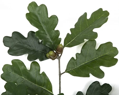 12 FOOT H X 11 FOOT W OAK TREE ON FIBERGLASS TRUNK AND BASE - Image 7