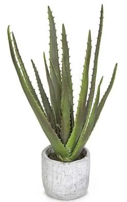 30 Inches Potted Foam Aloe - 11 Green Leaves - 7.5 Inches Stone Pot - 18 Inches Width