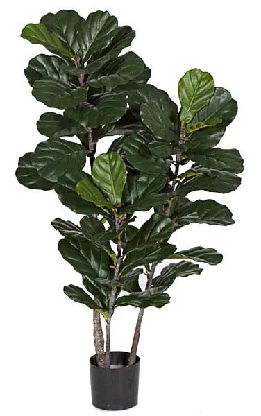 52 Inches Fire Retardant Fiddle Leaf Fig - Natural Trunks - 59 Green Leaves - Weighted Base