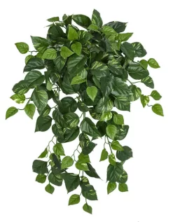 Firesafe Variegated Pothos Bush In 36 Inch Or 50 Inch Sizes