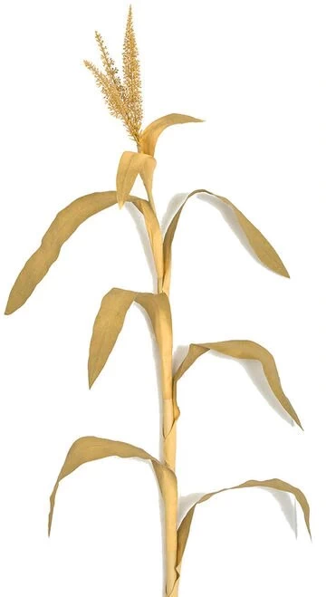 7.5 Foot Fire Retardant Fall Corn Leaf Plant - Image 2